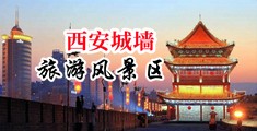 靠逼内射网站六中国陕西-西安城墙旅游风景区