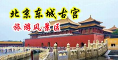 欧美色免费网站中国北京-东城古宫旅游风景区